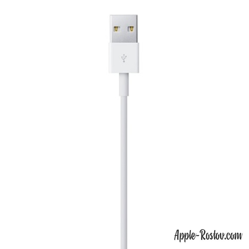 Кабель Lightning USB (2 м) Кабель Lightning USB (2 м)